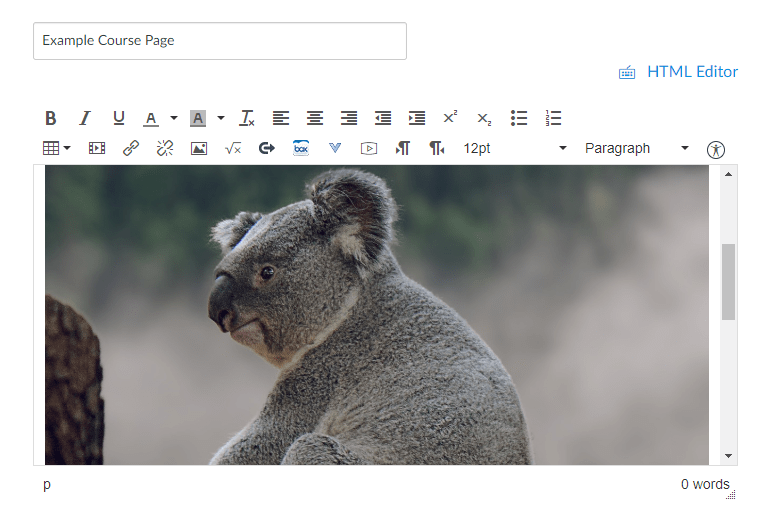 Picture of koala on branch embedded in content page