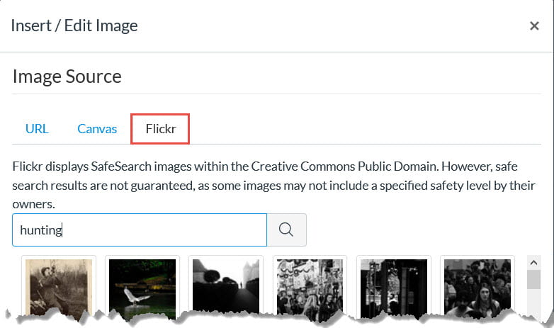 Example of Flickr Search Results