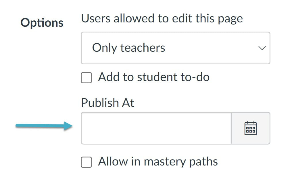 Options dialogue box with Publish At indicated